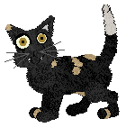 Morris