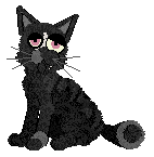 Scratch