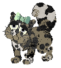 Phillipa