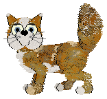 Dixon