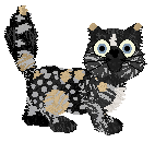 Opossum