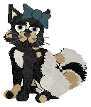 Lusca