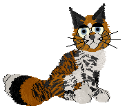 Tigerlily