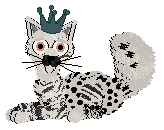 Domino