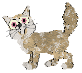 Doily